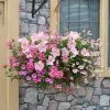 Roots Plants Bridal Bouquet' | Instant Designer Hanging Basket All Annual Bedding