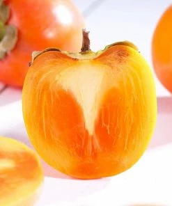 Roots Plants Fruits Japanese Persimmon Tree