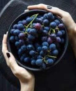 Roots Plants 90cm 'Vanessa' Seedless Outdoor Grape Vine | 2L Pot