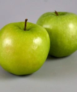 Roots Plants Granny Smith Apple Tree Fruits 8 Roots Plants Granny Smith Apple Tree Fruits
