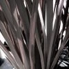 Roots Plants Phormium Platts Black All Shrubs