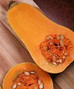 Roots Plants 3 Organic 'Waltham Butternut' Butternut Squash Plants Root Vegetables